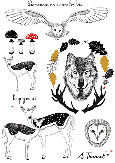Wolf y es tu? by Sophie Truant